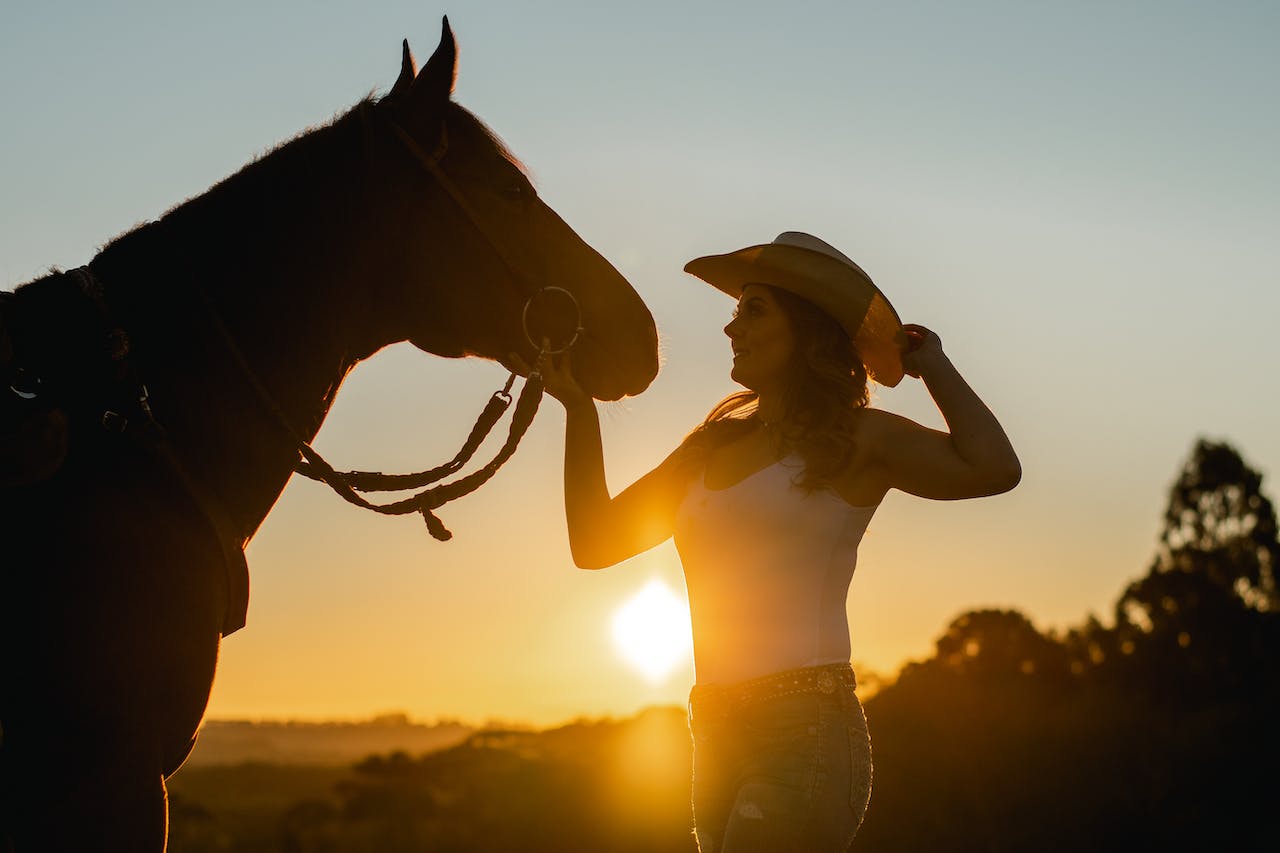 Healthy Horse, petsgearlab