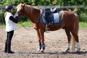 horse riding gears tips by petsgearlab