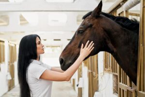 Horse Health care Tips