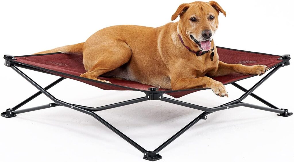 Elevated Dog Beds