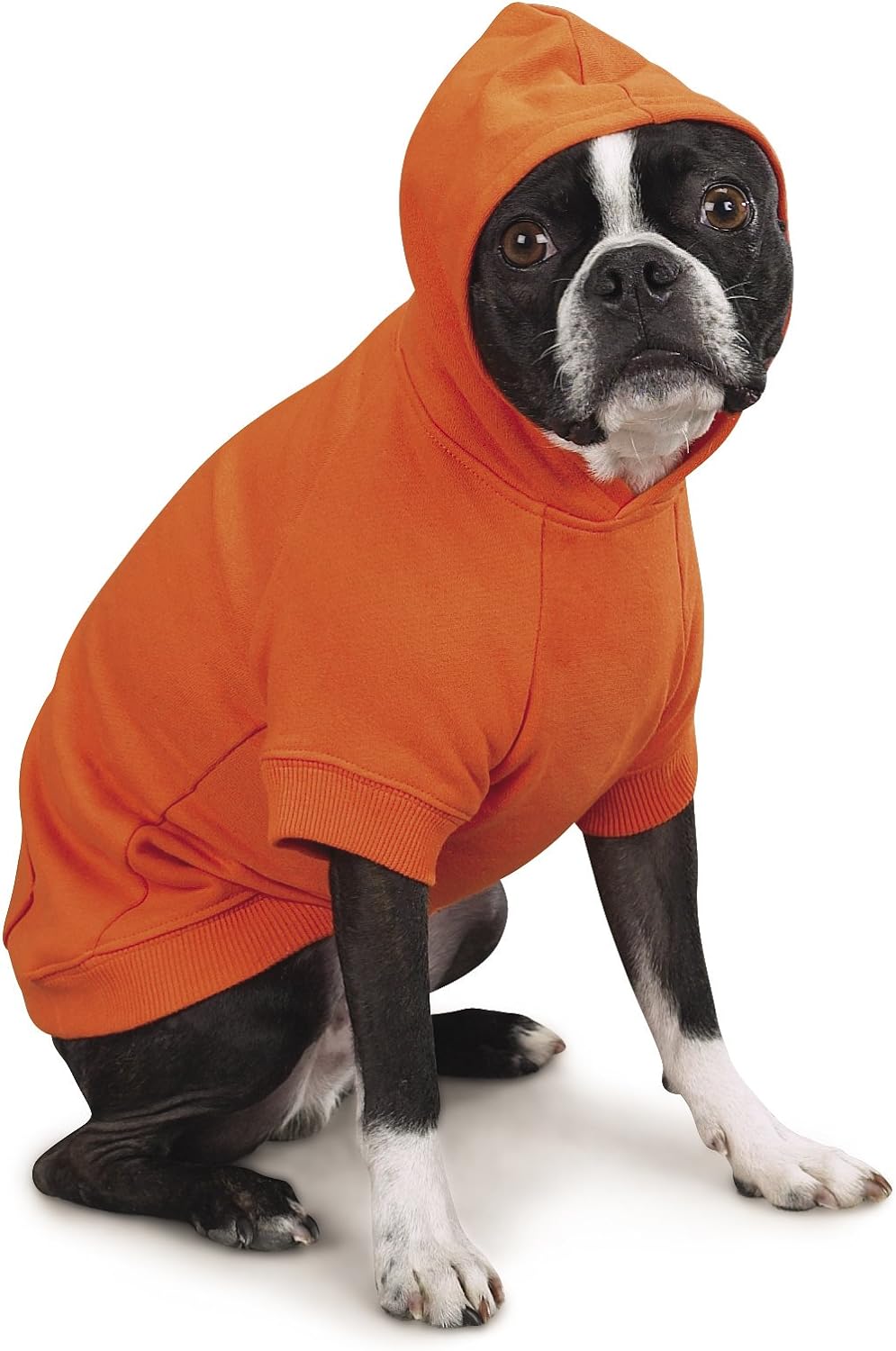 Zack & Zoey Basic Hoodie for Dogs, 16 - PetsGearLab Choice