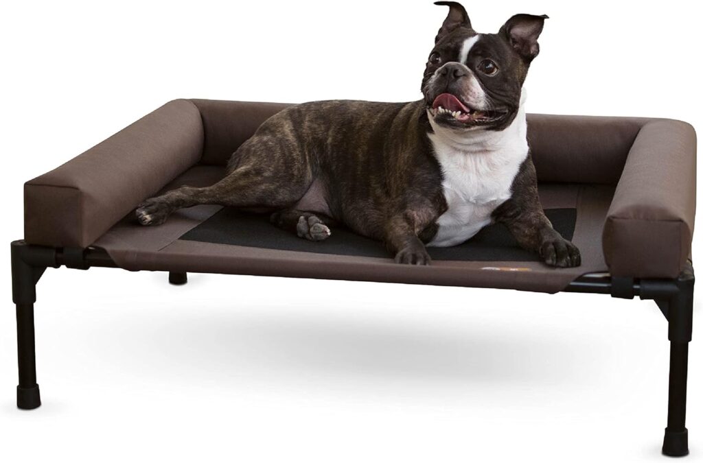 Elevated Dog Beds