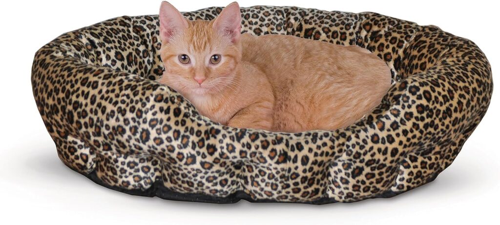 Best Cat Beds