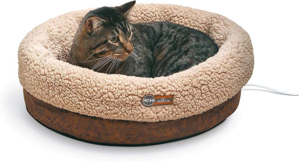 Best Cat Beds