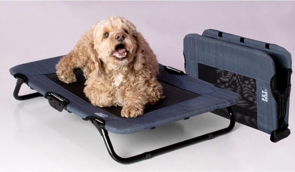 Elevated Dog Beds