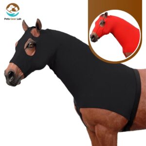 Horse Riding Gear