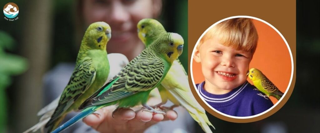 Pets for Families with Kids Budgerigar (Parakeet)