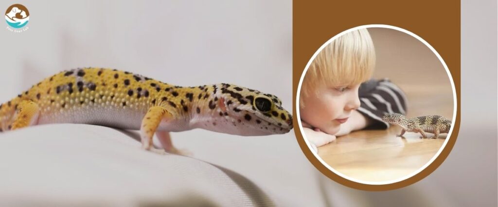 Pets for Families with Kids Leopard Gecko