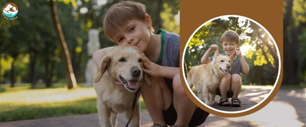 Pets for Families with Kids Dogs PetsGearLab