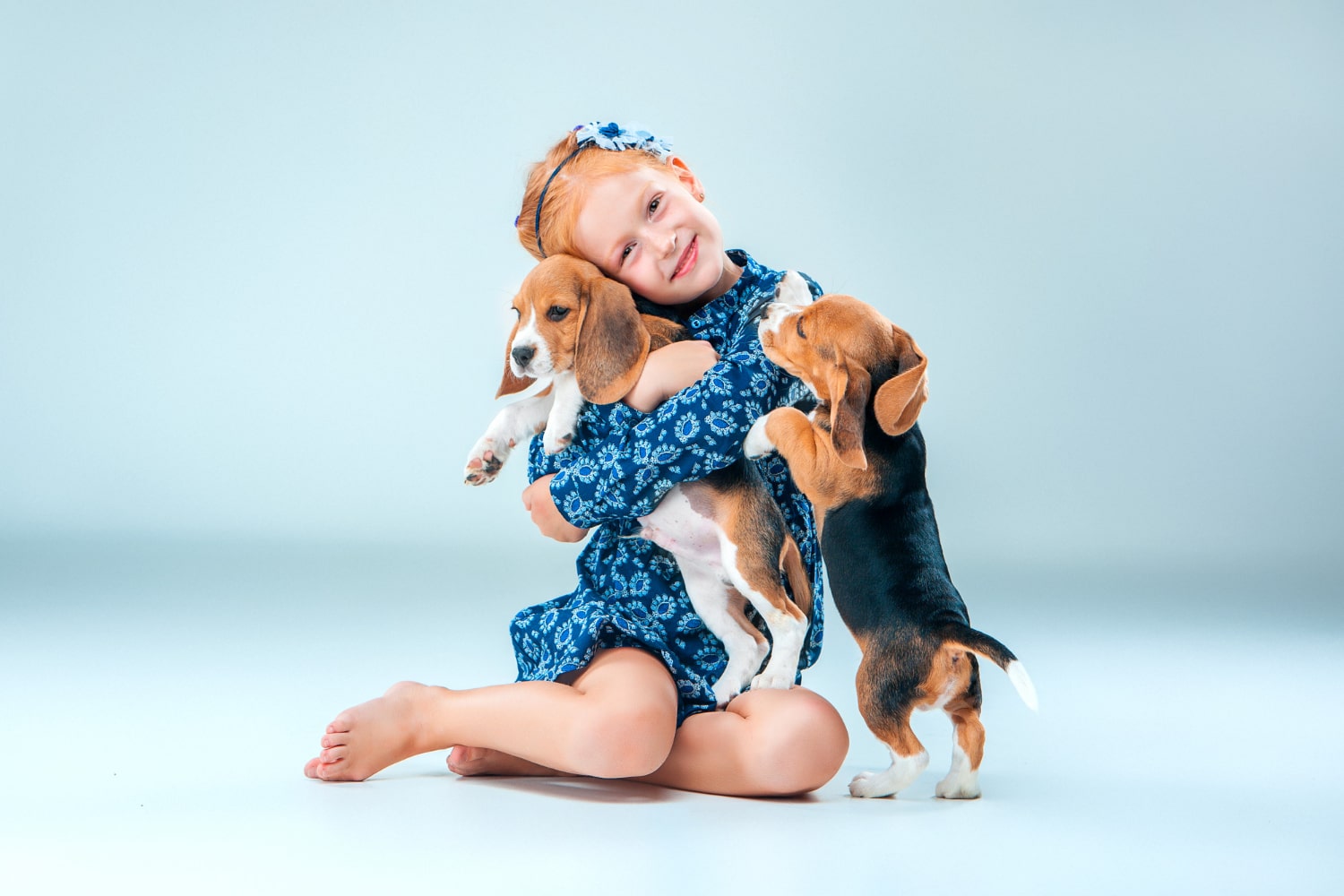 Pets for Families with Kids PetsGearLab