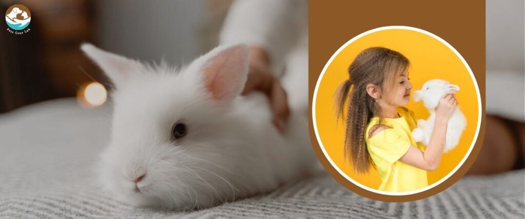 Pets for Families with Kids Rabbit