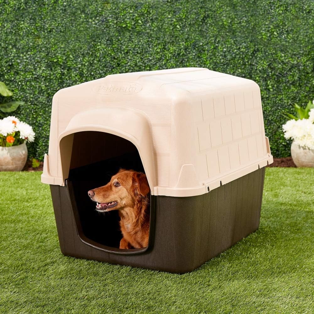 Best Dog House