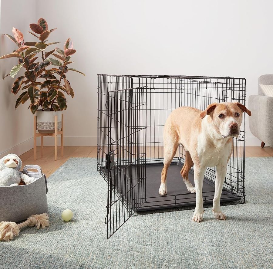 Dog Crates