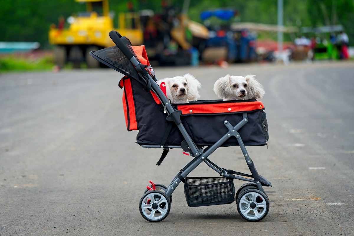 Pet Strollers PetsGearLab